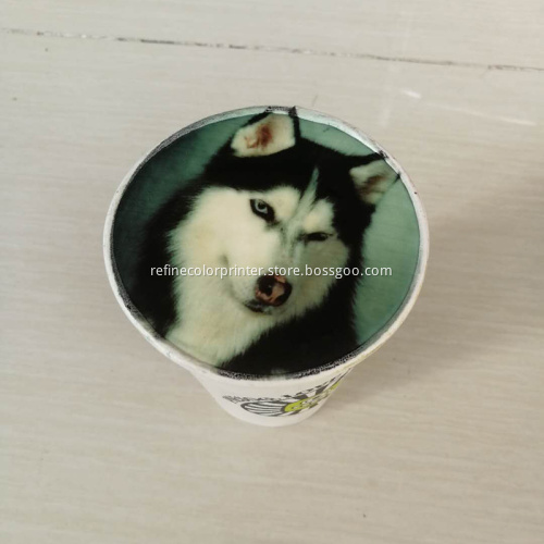 small format high efficiency edible cake printer